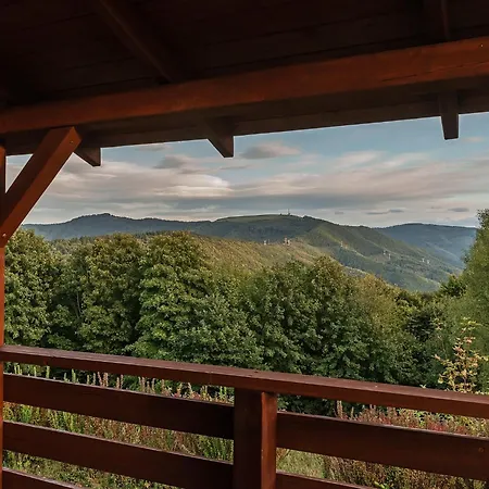 Дом отдыха Willa Hrobacza Spa *